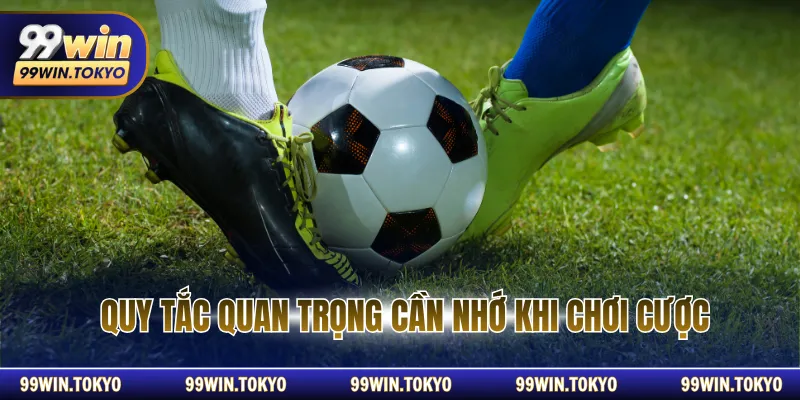 Quy tắc quan trọng cần nhớ khi chơi cược