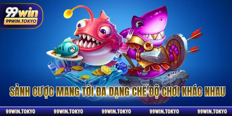 Sảnh cược mang tới đa dạng chế độ chơi khác nhau